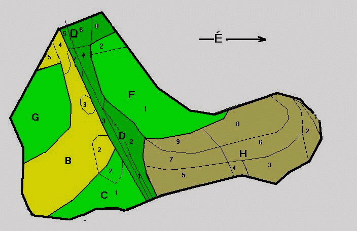 A Ksrleti-erd terleti felosztsa ( D: H-vlgy )